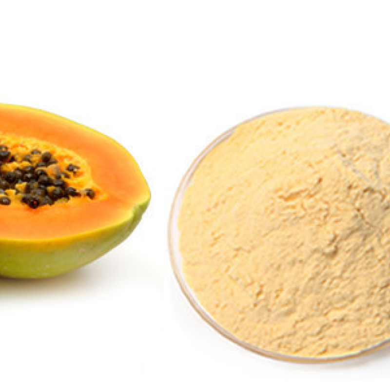 Papaya Powder – Buy Freeze Dried Foods